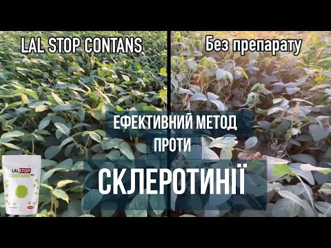 Видео: Біофунгіцид, який реально спрацював: виробник підрахував +1500 кг