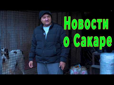 Видео: Позитивные новости о Сакаре