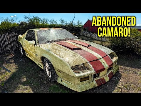 Видео: Первая мойка за 20 лет: брошенный Camaro RS! | Детейлинг и реставрация автомобилей