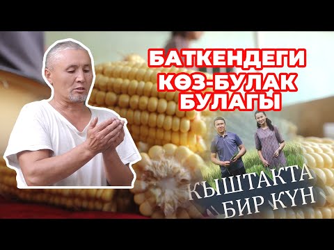 Видео: Кыштакта бир күн: Баткендеги Көз-Булак ата булагы | #МедиаКолкабыш #soroskg #ЖашНиет #Ынтымак