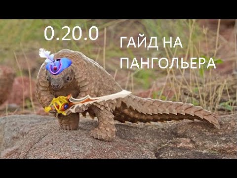 Видео: Гайд на пангольера (точно не рофельный)