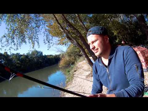 Видео: Рыбалка Днестр. Атака карпов 2.