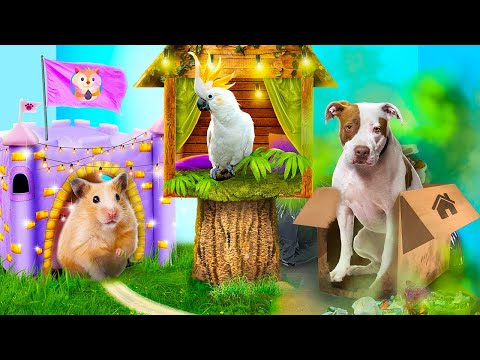 Видео: Строим секретные домики для животных! Бедный, богатый и гигабогатый