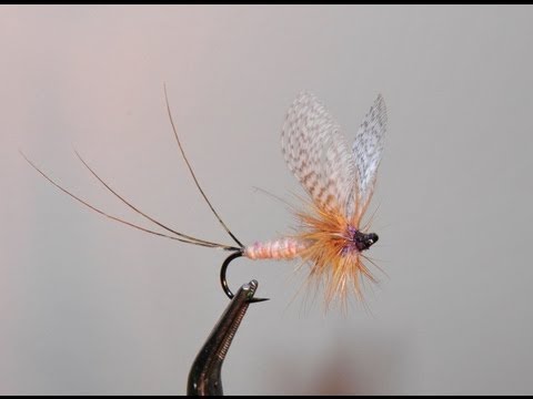 Видео: СУХАЯ МУШКА SVA