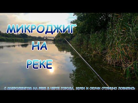 Видео: МИКРОДЖИГ на реке в черте города. Щуки и окуни просто издевались!