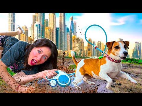Видео: ИДУ КУДА ВЕДЕТ СОБАКА и УПРАВЛЯЕТ МНОЙ ЧЕЛЛЕНДЖ в Дубае | Elli Di Pets