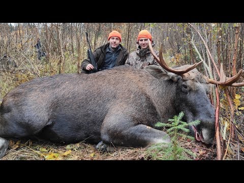 Видео: Охота на лося или как я облажался на открытии сезона...