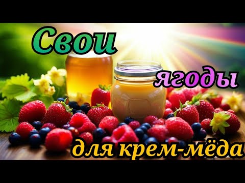 Видео: Достойная альтернатива сублимированным ягодам🍓🍒🫐