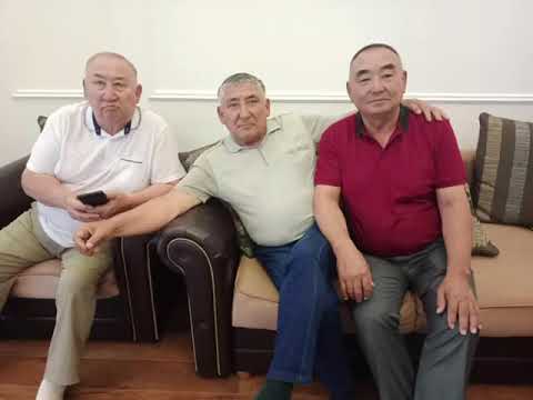 Видео: 5 ноября 2025 г.