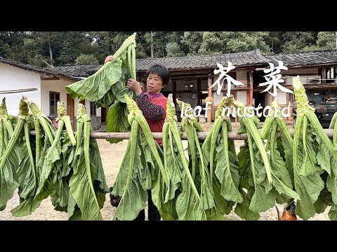 Видео: Зелень горчицы вырастает высокой и густой, и бабушка готовит 3 вкусных, сладких и вкусных блюда.