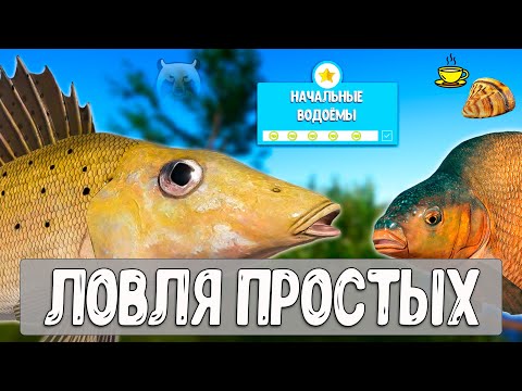 Видео: 🔴 РР4/ рыбалка для души, ловим как универсал, общаемся 05.11.2025