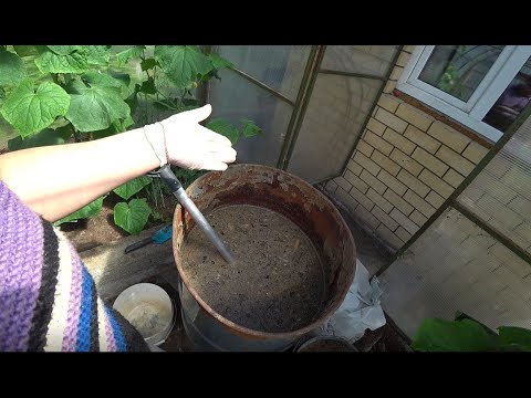 Видео: Универсальный раствор для подкормки растений