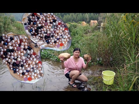 Видео: Золотые устрицы имеют разноцветный жемчуг, я охотился за жемчугом в устрицах на пляж