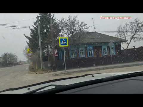 Видео: Онохино.Тюм.обл.30.04.2023г.