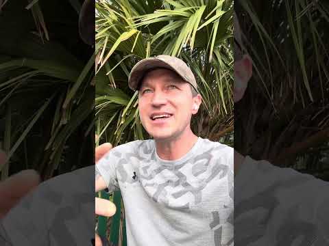 Видео: Это изменит твою жизнь уже сегодня. У тебя будет Всё о чём ты мечтал всю жизнь!!!