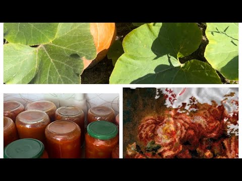 Видео: ВЫШИВКА 🧵 РОЗЫ РЕНУАРА РИОЛИС/УДАЧНЫЕ ПОКУПКИ/ДАЧА/КОНСЕРВАЦИЯ 