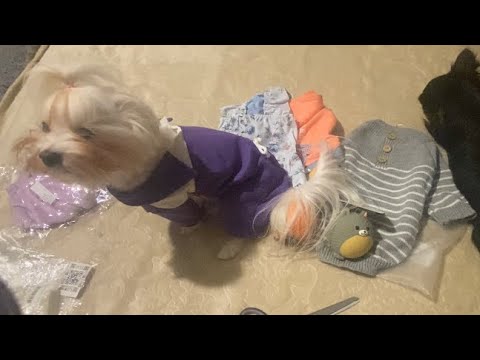 Видео: WILDBERRIES. Limargy новая коллекция.