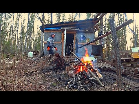 Видео: Второй день на озере. Ловим рыбу на сети. Готовим юшку из голов щук на костре. Тайга. Рыбалка.