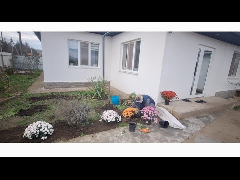 Видео: Сожаем цветы 💐/Распаковка/Готовимся к день рождения Димитрий #Молдова #Осень #Семья 