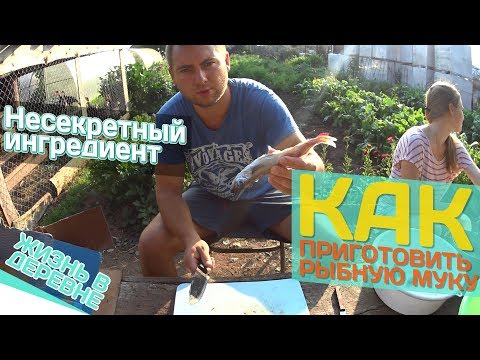 Видео: Как приготовить рыбную муку