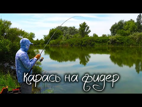 Видео: Крупный карась на фидер. Летняя рыбалка