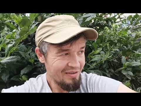 Видео: За предательство надо отвечать!