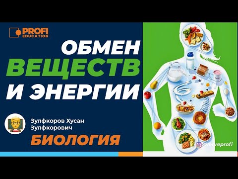 Видео: Биология. Обмен веществ и энергии