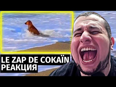Видео: МАНУРИН СМОТРИТ LE ZAP DE COKAÏN.FR N°298