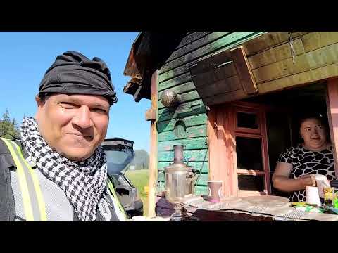 Видео: Еду обратно домой #ржев #спб 