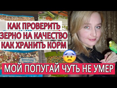 Видео: КАК ПРОВЕРИТЬ КОРМ НА КАЧЕСТВО | КАК ХРАНИТЬ КОРМ | МОЙ ПОПУГАЙ ЧУТЬ НЕ УМЕР ОТ ОТРАВЛЕНИЯ