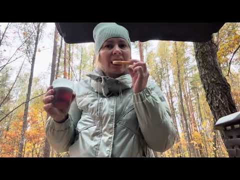 Видео: Съездили в лес за грибами . Встретили Лосей ,