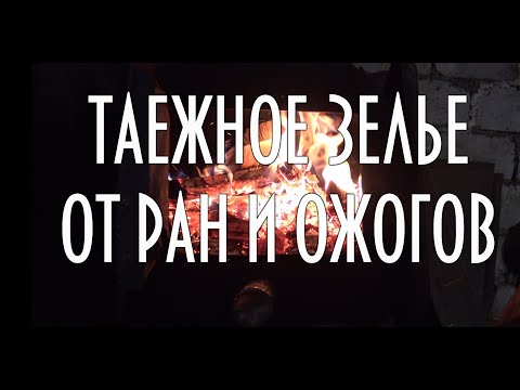 Видео: Таежное зелье от ран и ожогов, в составе смола живица