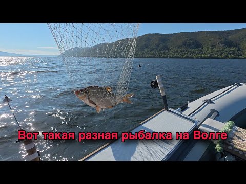 Видео: УТРЕННИЙ КЛЕВ. РЫБАЛКА НА КОЛЬЦО В САМАРЕ.