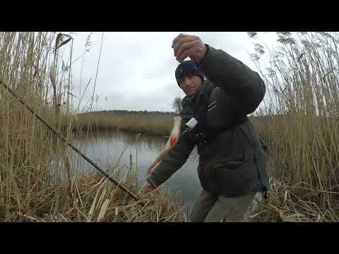 Видео: Перша рибалка на боковий кивок, 🎣 в весняному сезоні.  Гарний кльов ОКУНЯ і ПЛОТВИ  на мормишку.🐟🐟🐟