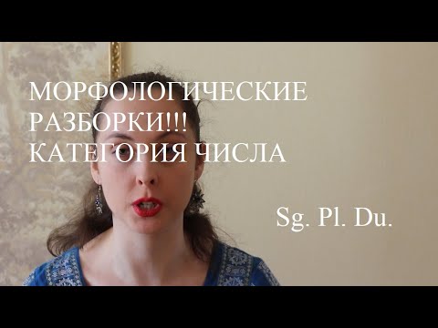 Видео: Морфологические разборки: категория числа - единственное, множественное, что ещё?