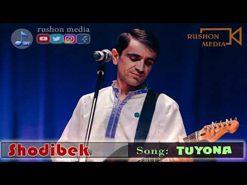 Видео: Шодибек | Shodibek |           Туёна