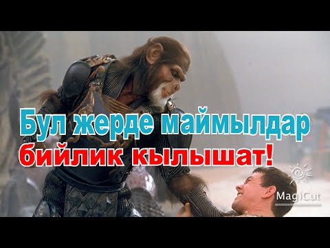 Видео: Бул жерде маймылдар бийлик кылышат!#кино #кыска #кыргызча