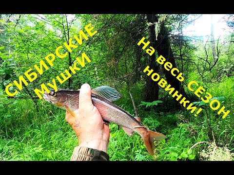 Видео: Мушки которые ловят ХАРИУСА,Ленка/Сибирские/Донки,верховые.