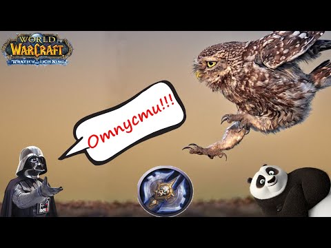 Видео: Balance Druid PvP 3.3.5 1v1 2v2 / Отпусти Меня Сова #11