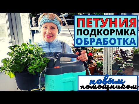 Видео: Хватит кормить ПЕТУНИЮ? или продолжать? Новый  помощник ЗЁМА