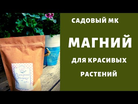 Видео: СУЛЬФАТ МАГНИЯ. Подкормка роз весной (мастер класс)