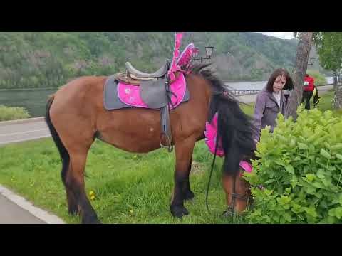 Видео: Привет, Дивногорск! Набережная