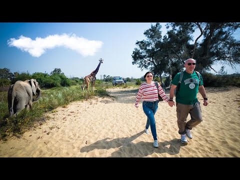 Видео: Сходили в очень необычный поход.dji osmo action 4 .dji mic 2.