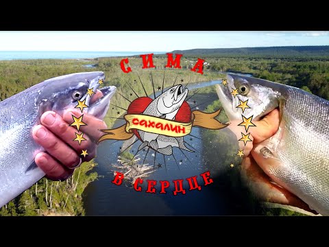 Видео: Сима в сердце Сахалина!