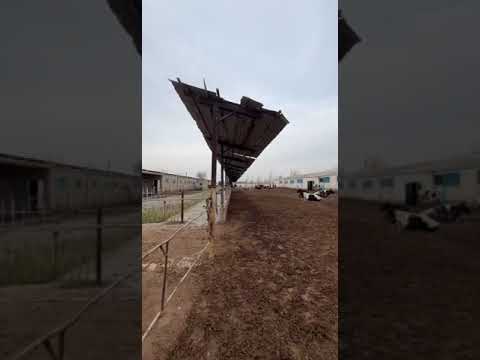 Видео: Тошкент вилояти Бекобод тумани Ойбек постини енида 7,9 гектарли ☎️ 949370252☎️ 909625212