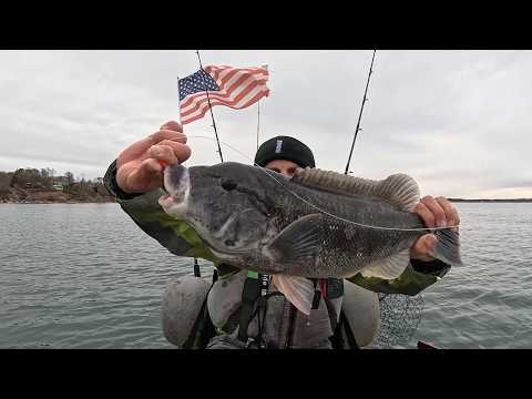 Видео: Качественная рыба на джиг! Ловля с каяка на зеленых и белых крабов