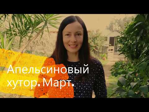 Видео: 66. Наша жизнь на хуторе. Сад, огород, куры и песто из крапивы.