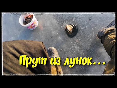 Видео: ОКУНИ ЛЕЗУТ ОДИН ЗА ДРУГИМ! Щука на жерлицы. СУПЕР зимняя рыбалка 2023-2024. Vlad TV.