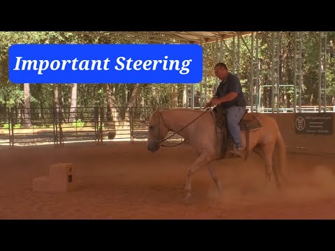 Видео: Проблемы с плечом