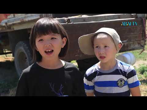 Видео: Бір туынды. Нұрлан Жошыбай